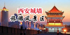 骚逼虐待网中国陕西-西安城墙旅游风景区